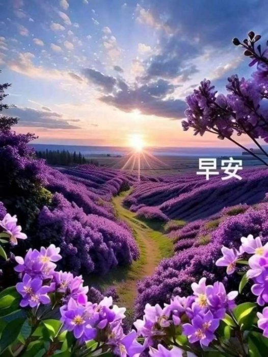 每天都是美好的