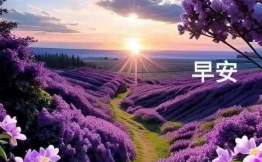 每天都是美好的