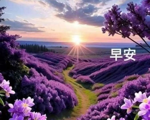 每天都是美好的